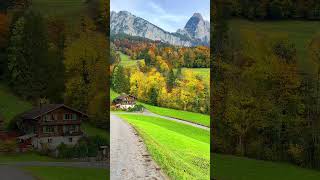 Is This The Prettiest Path In The World switzerland