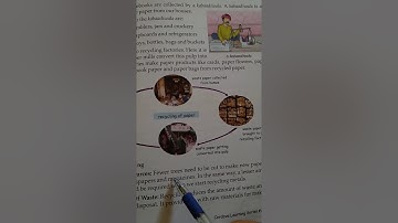 DRONE INTERNATIONAL SCHOOL Class IV EVS chapter number 23 garbage and it