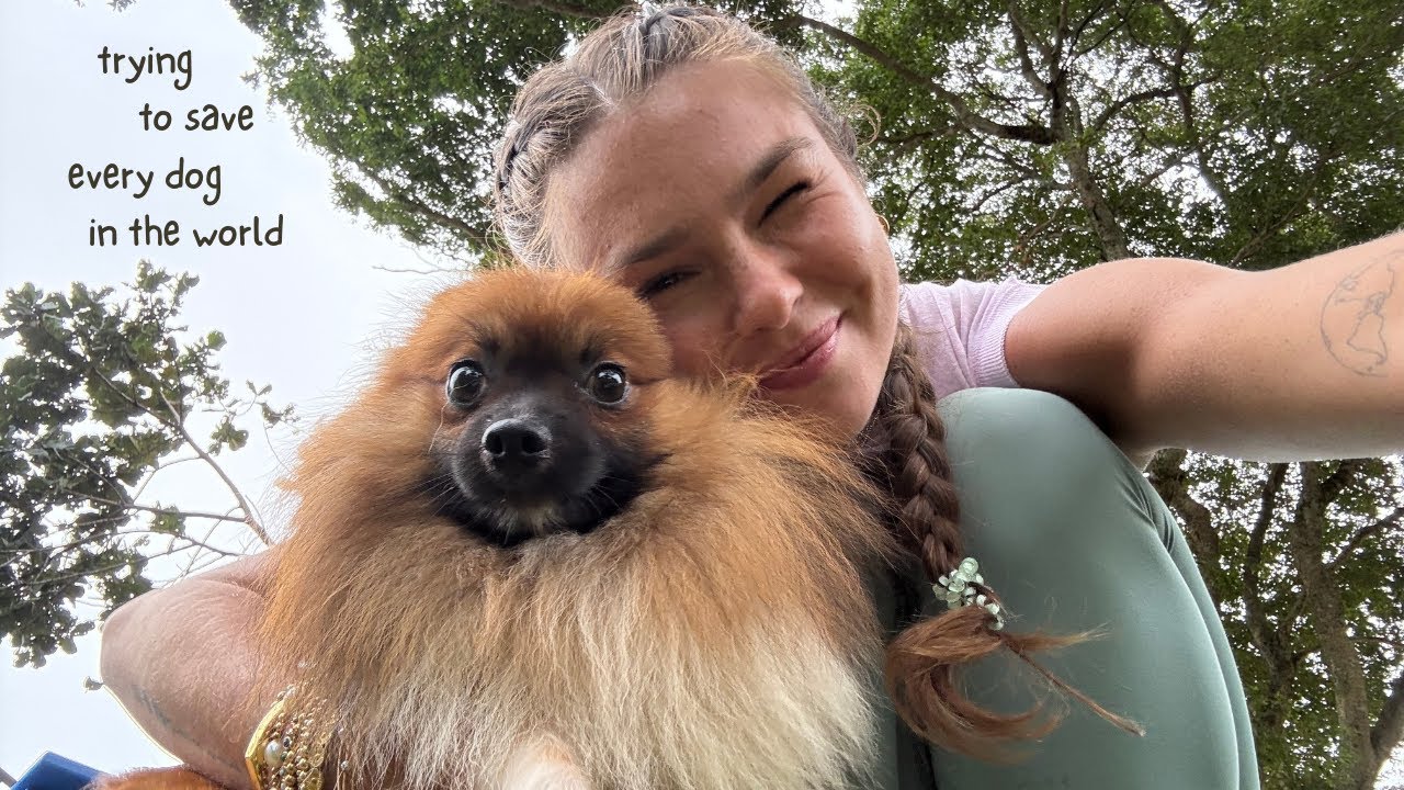 Моя неделя, посвященная созданию некоммерческой организации (и при этом увлекательному процессу).