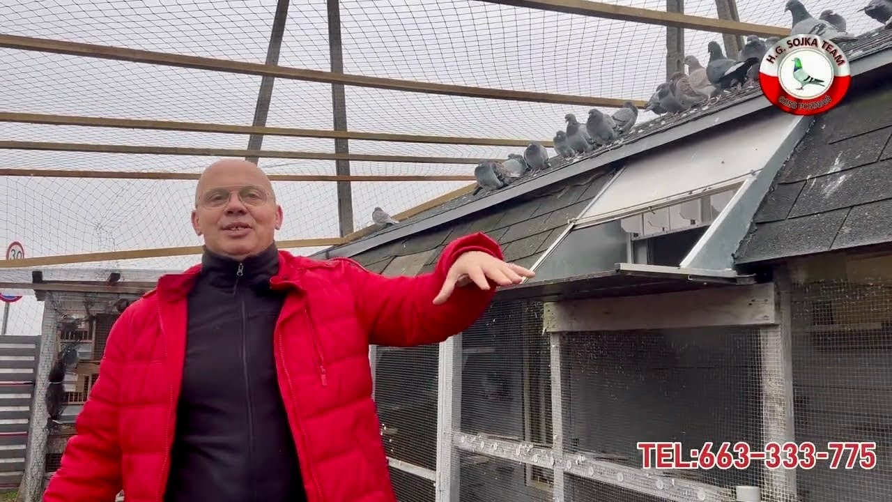 LISTOPAD PORADY : JAK  RADZIMY SOBIE Z GRYZONIAMI? , NOWA WOLIERA DLACZEGO WARTO!!!