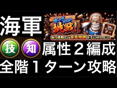 ワンピース 海賊アーチェリー