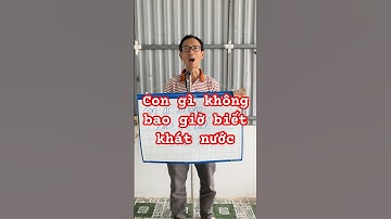 Câu Đố | Con Gì Không Bao Giờ Biết Khát Nước #nguyenbangvlog #dovui #dovuigiaitri #meovat #reels