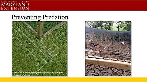 Managing predators - DayDayNews