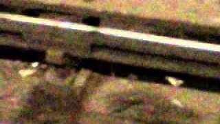 MTA Rat infestation by Miguel Figueroa 346 views 12 years ago 27 seconds