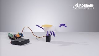 Bee Waggle Dance - Hummingbird Robotics Kit & micro:bit