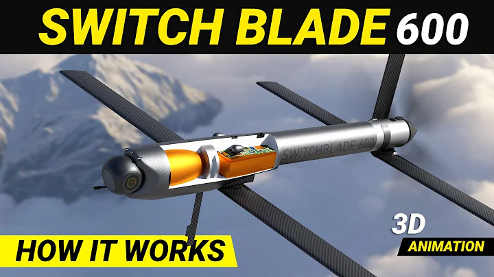 Switchblade 600 Loitering missile | Kamikazi drone How it works #loiteringmunition #drones - DayDayNews