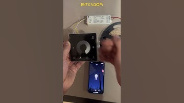 2-канальный Zigbee контроллер с поддержкой RF пультов/выключателей и Алисы. Хороший кейс! #унмыйдом