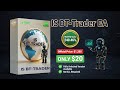 BTTrader EA Review 2026 | MT4 Forex Auto Trading Robot