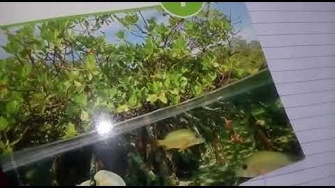 7th class science Chapter 2 .... Transport of nutrients ... Chapter reading part 2