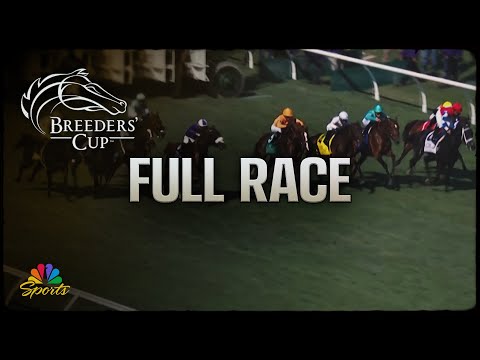 Breeders' Cup 2024: Goldikova Stakes (Full Race) | NBC Sports