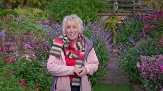 Great British Gardens with Carol Klein🍀Wollerton Old Hall Garden