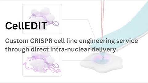 CellEDIT CRISPR Cell Line Engineering Service -  #crisprgeneediting #crisprcas9 #geneediting
