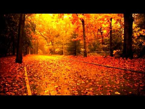 ბედნიერებას არ აქვს დასასრული ის ჩვენშია ... მარადიულობაში..