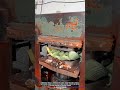 Innovation Hydraulic Press Sandal Production: High-Speed Molded Footwear Manufacturing #tech