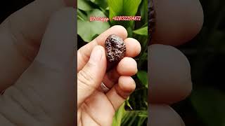 Batu Mustika Tundung Bawuk