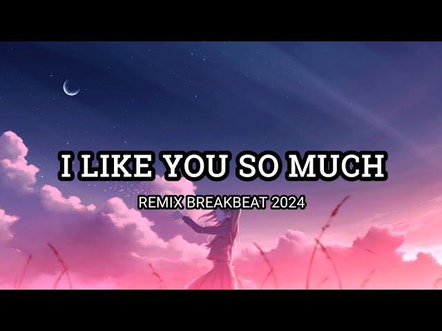 DJ I LIKE YOU SO MUCH REMIX BREAKBEAT 2024 class=