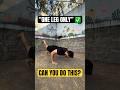 Single-Leg Push-Ups 🎯 Stability & Core Test
