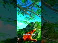 CoD BO4 - All The Best Working Glitches & Hiding Spots 2024