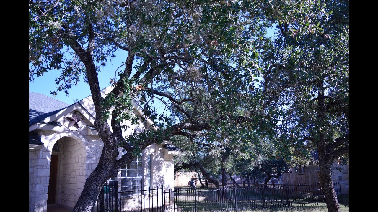 FOR SALE: 12 Elmbrook Dr. Wimberley Texas