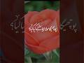      nabi kareem ka naam islamic whatsapp status islamicviral.