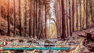 🎦 Национальный парк "Форесте Казентинези" (Parco Nazionale delle Foreste Casentinesi) в Италии