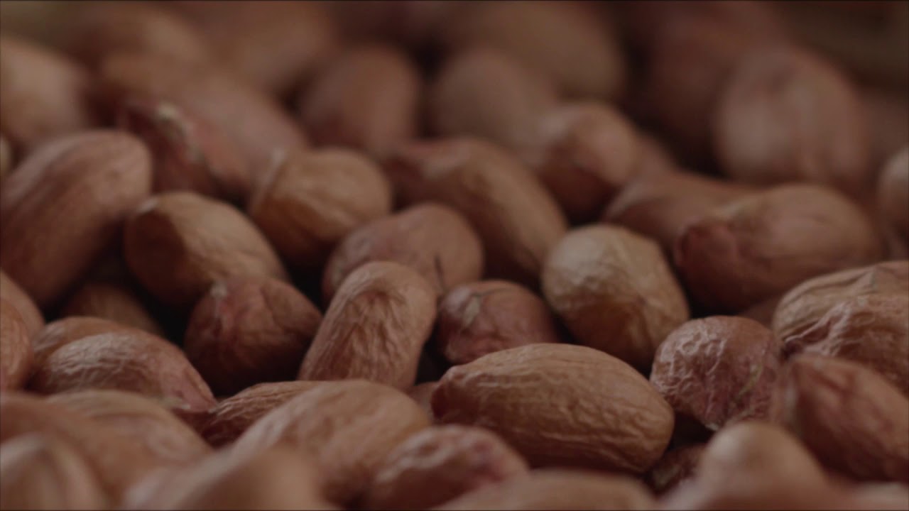 ALPACASA   GRANOS 4 19MIN   INGLES