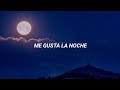 Julian Casablancas - I Like The Nigth [Sub. Español]