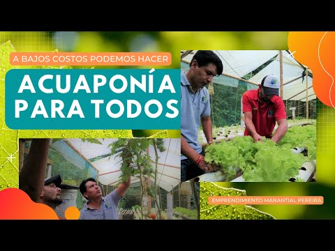 Ayudas Para Granjas De Acuaponia