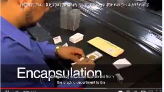 NGC(コイン鑑定会社）ゴールドコイン　GOLD COIN 　アンティークコイン