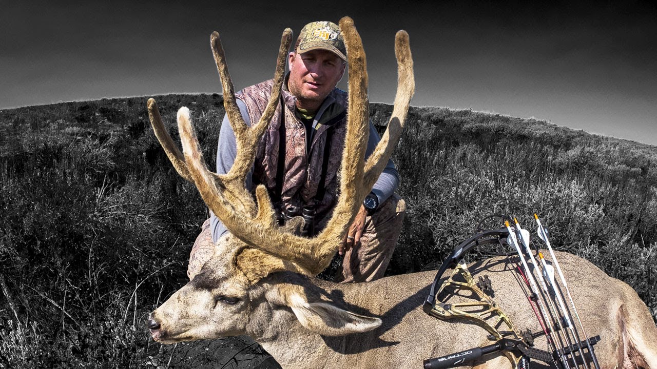 DIY Mule Deer Bow hunting with Guy Eastman (Eastmans' Hunting TV) - YouTube