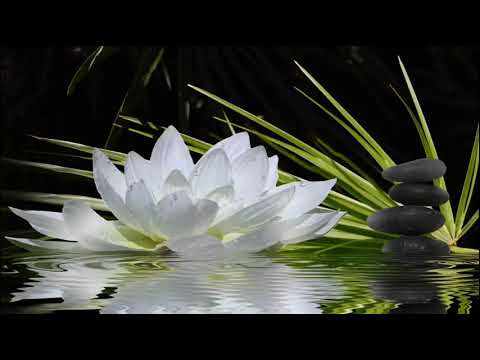 MÚSICA PARA PURIFICAR EL AURA REIKI