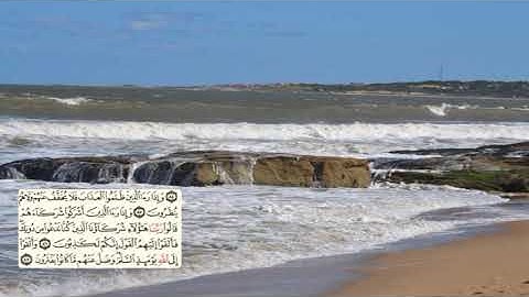 276-page سعد الغامدي - -سورة النحل -Les abeilles (An-Nahl) 16