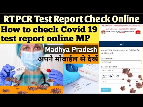 rt pcr test report check online Madhya Pradesh | How to check Covid 19 test report online mp #shorts