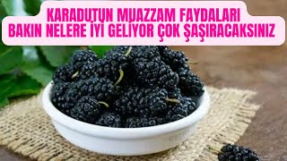 KARADUT FAYDALARI | KARADUT ŞURUBU FAYDALARI | KARADUT REÇELİ FAYDALARI | KARADUT LEKESİ NASIL ÇIKAR