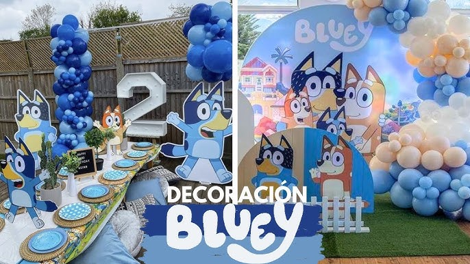 Bluey Themed Birthday Party Idea! 