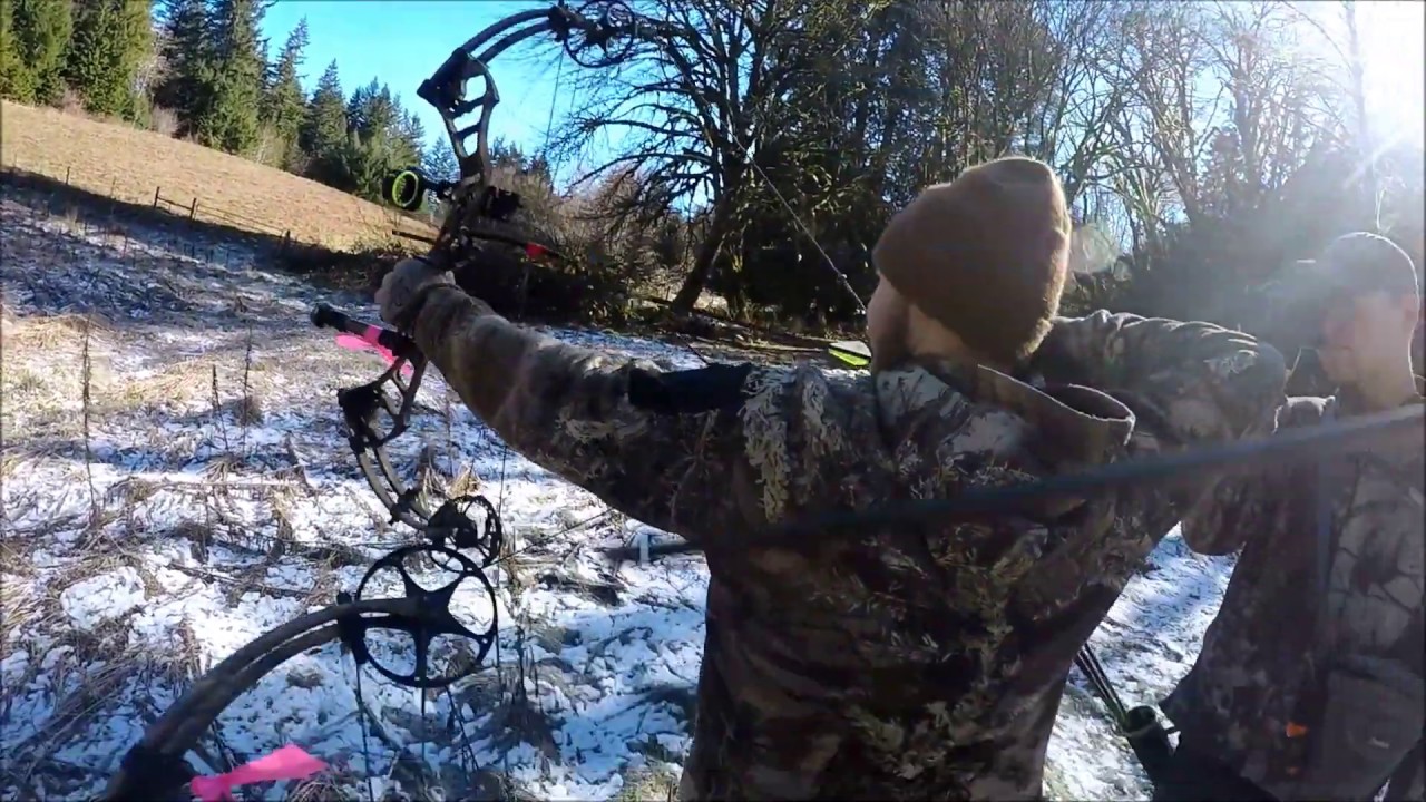3D archery shoot Yacolt, WA YouTube