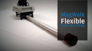 SENSYS Magwalk - #2 - Flexible field recordings