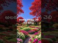 please like share and subscribe #chudaliani vundhi🩷🎶#abba abba🩷🎶 #songs #ytshorts