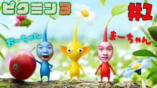 今度のピクミンは登場人物HIMAWARI家！！？スイッチ☆ピクミン３デラックス＃１ himawari-CH