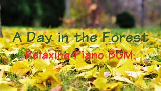 Relaxing Autumn Forest Piano Music – Study, Work, and Relaxation BGM