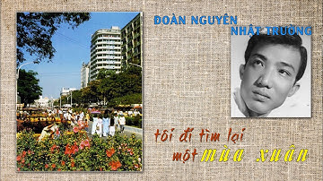 TÔI ĐI TÌM LẠI MỘT MÙA XUÂN | nhạc ĐOÀN NGUYÊN | tiếng hát NHẬT TRƯỜNG