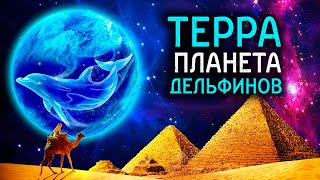 «Терра – планета дельфинов» (Архив канала @Perspectiva-info)