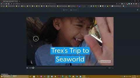Adobe Spark & Canvas