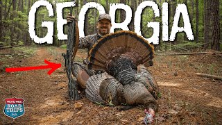 Georgia BIG Timber Gobbler | Eastern Turkey For The Grand Slam | Part 2 by Realtree Road Trips 3,368 views 4 weeks ago 19 minutes