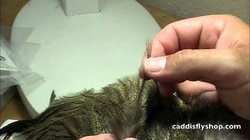 Whiting Coq De Leon Rooster Saddle Product Video