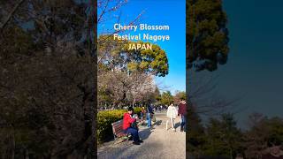 #japan #travel #tourism #4k #india #vlogs #ilovetravel #cherryblossom #vlogs #さくら#鶴舞公園
