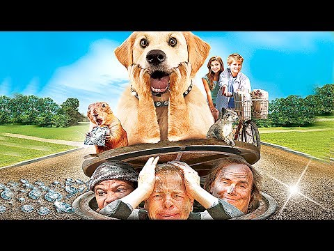 Un Chien Milliardaire | FILM COMPLET en Français (Comédie, Famille, Chien) ☉