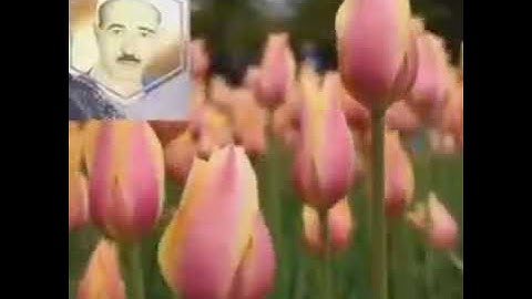 الشيخ حسن عبده فرحان التلاوات الذهبية هكذا يقرء القرءان تلاوة رائعة جدا جدا