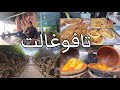 تافوغالت سحر الطبيعة💥 الهادئة الطاجين والشواء🔥 إقليم بركان Tafoughalt berkane aujourd'hui