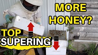 Beekeeping: Adding New Super On Top Or Bottom?